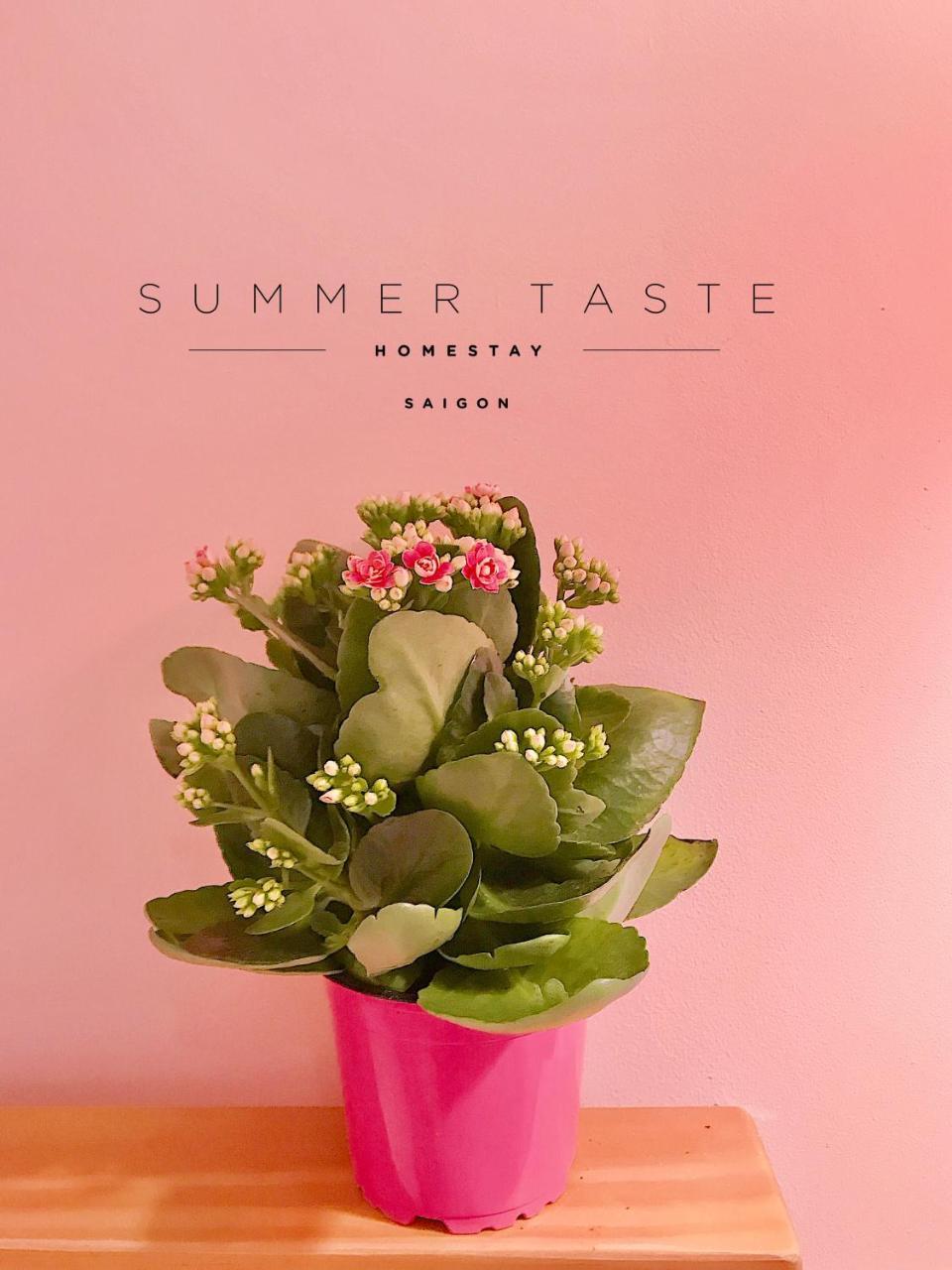 Summer Taste Homestay Хошимін Екстер'єр фото